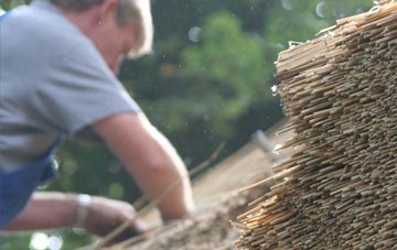 professional Sandbraes thatchers