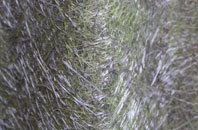 Sandbraes fibreglass roof work